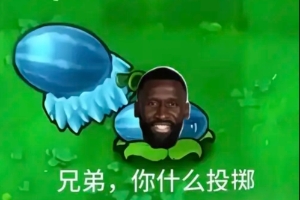 今日趣图：裁判—吕迪格朝我扔冰块💣我拿冰块变红牌，没座！